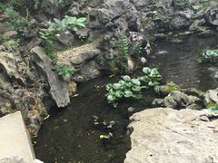 -西塘古镇-倪宅