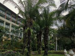 -三亚海棠湾万丽度假酒店