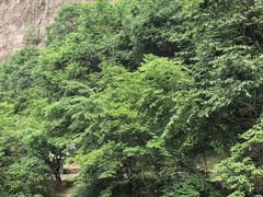-龙潭大峡谷