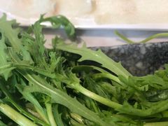 -食潮汕头鲜牛馆(望京保利店)