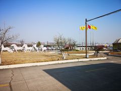 -胜华驾校·小猫学车(银都店)