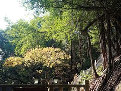 -乌山风景区