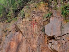 -上海佘山国家森林公园西佘山园