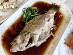 -云中小雅