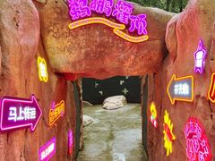 -北京野生动物园