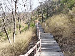 -朱雀国家森林公园