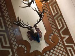 -诺敏塔拉奶茶-布里亚特包子-手把肉(锦都会店)