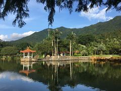 -深圳仙湖植物园-停车场