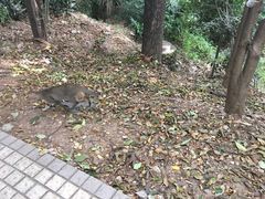 -雨花台烈士纪念馆
