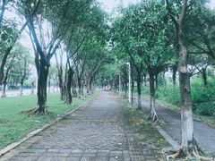 -华南师范大学(广州大学城校区)