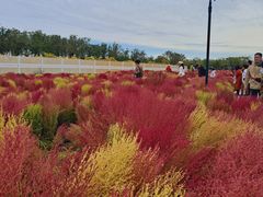 -天津东丽湖风景区