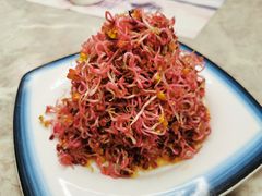 -小海丁