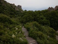 -白草畔自然风景区