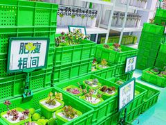 -王府井百货(总府店)