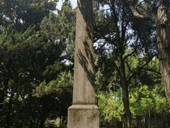 -汇龙潭