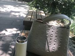 -成都市活水公园