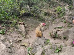 -黔灵山公园