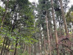 -狼山风景名胜区