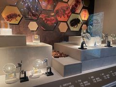 -湖南省地质博物馆