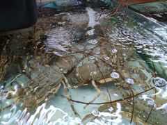 一楼卖生鲜-班赞海鲜市场