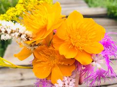 -白草畔自然风景区