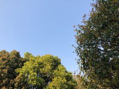 -南京市江宁方山