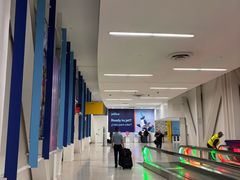 -约翰·菲茨杰拉德·肯尼迪国际机场