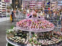 -KKV(深圳kk one 店)