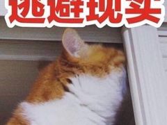 -成都市川剧院·《川剧秀·传奇变脸》·锦江剧场
