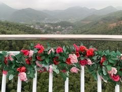 -山沟沟景区