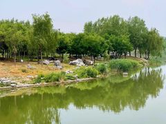 -马家湾湿地公园
