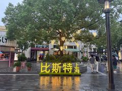 -比斯特上海购物村精品奥特莱斯