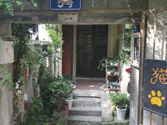 -猫色咖啡·猫咖