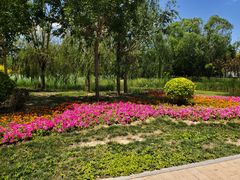 -武清南湖绿博园