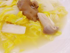 -稻香酒家·33年老字号·港式粤菜(富邦中心店)