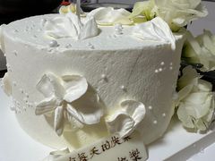 -维尔纳斯·生日蛋糕动物奶油冰淇淋蛋糕(人大店)