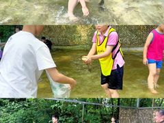 -成都西镇龙翔度假庄园·企业团建·丛林穿越