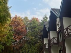 -太阳岛度假酒店