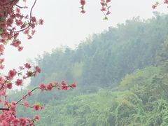 -常德桃花源景区