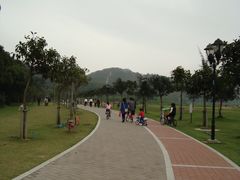 -野狸岛