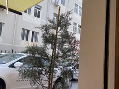 -Al Salam莫的三明治