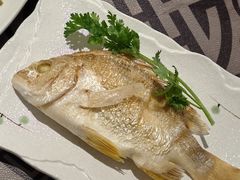-大浪潮·潮汕菜·招牌生腌小青龙(福田店)