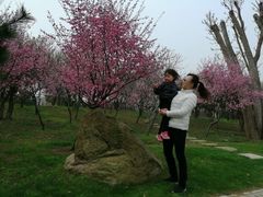 -南通洲际绿博园