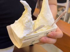 -野人先生Gelato(上海长宁龙之梦店)