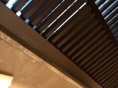-老头儿油爆虾(星光一期店)