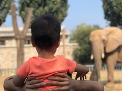 -石家庄市动物园