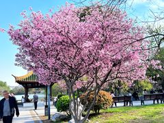 -南通濠河风景名胜区