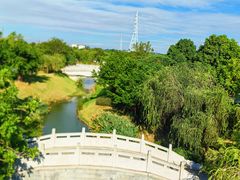 -王借岗森林公园