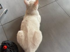 -一枚西点(运河路店)