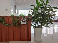 -四川大学华西口腔医院(华西院区)